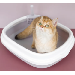 Cat Litter Box With Scoop Kitten Litter Box Cat Toilet